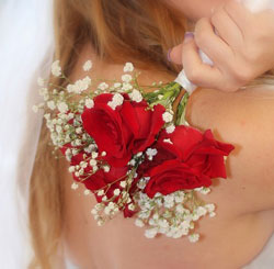 最新优化版的网页攻击软件